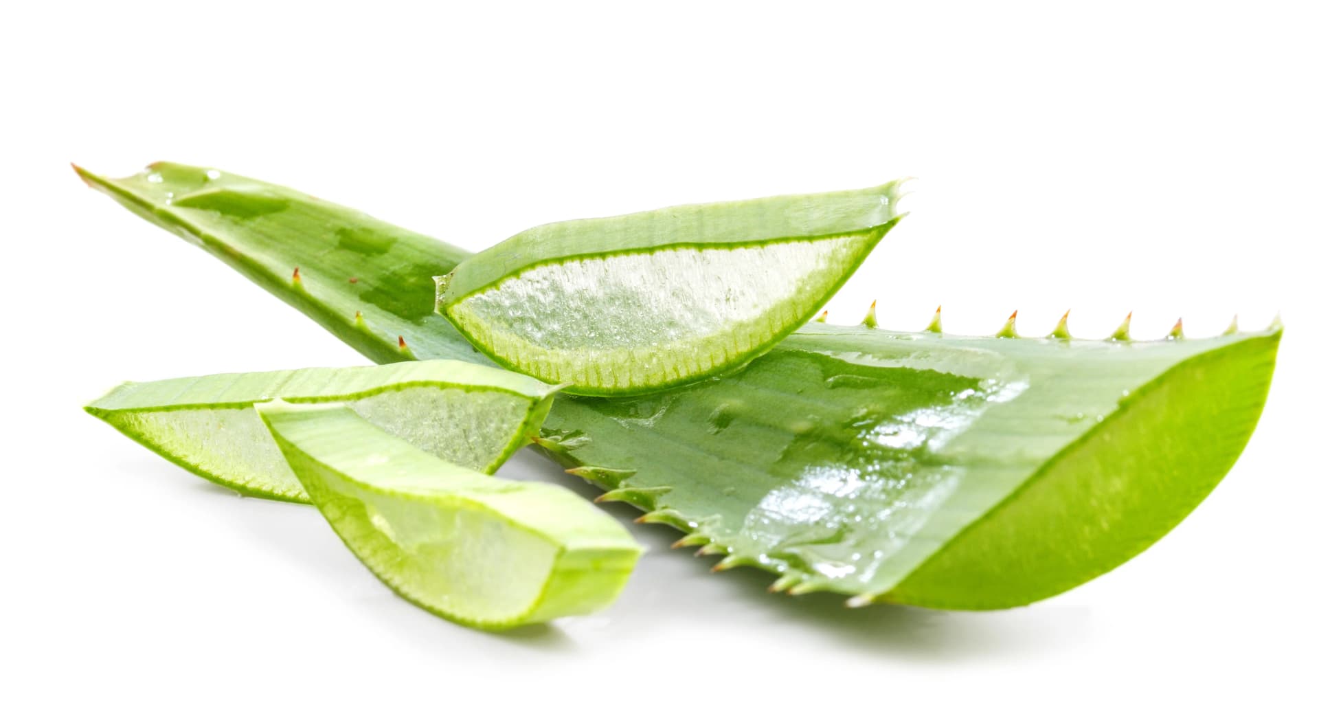Forever Living Vertrieb: Erfolgreich mit Aloe Vera Forever Lips durchstarten