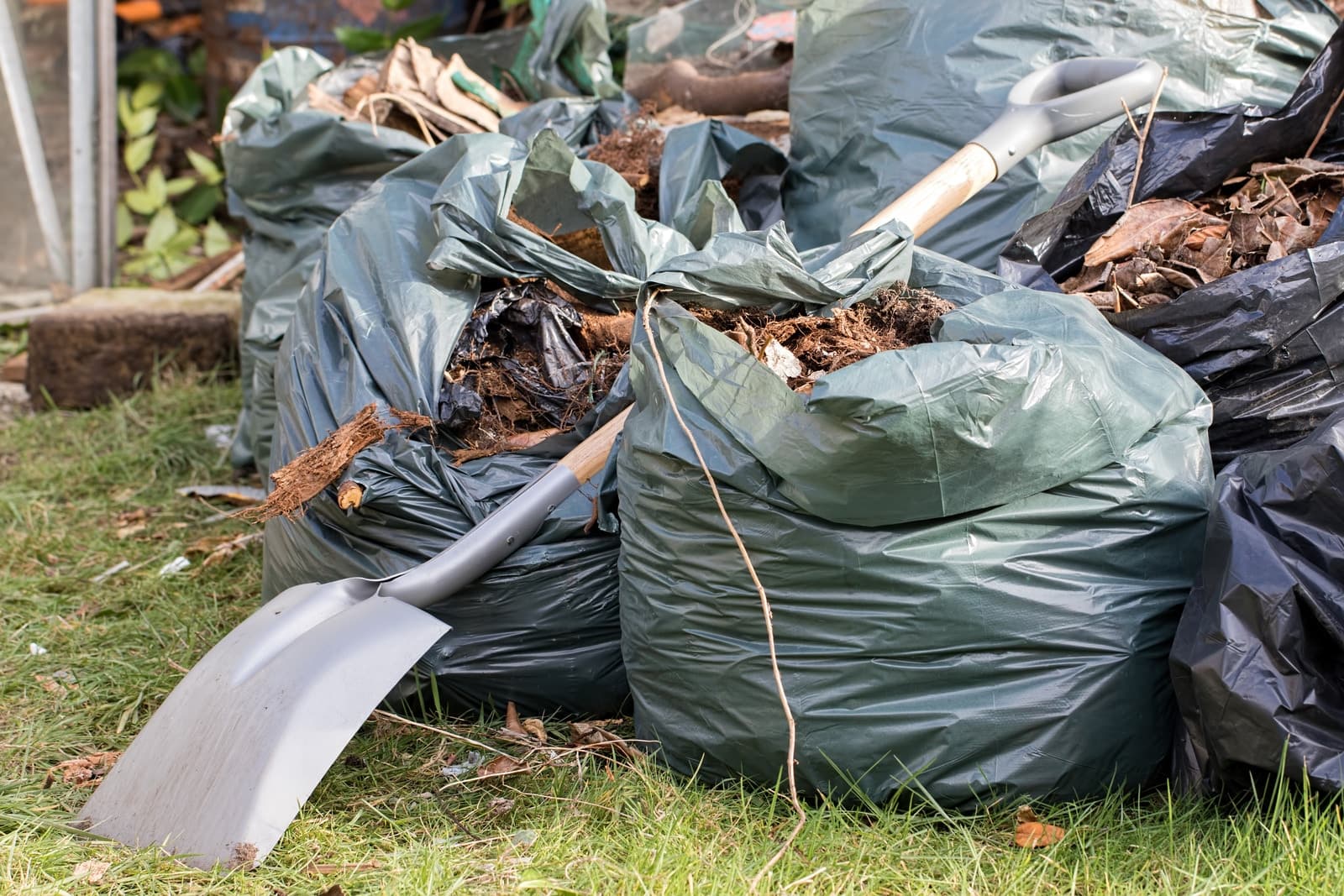 Gartenabfall entsorgen: Stressfreie Entsorgung mit Abholservice